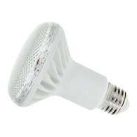 R80 12w 240v E27 LED Lamp Bulb 